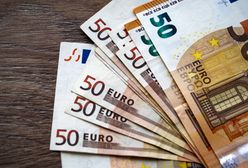 Szukają Polaków do pracy. W przeliczeniu płacą 4 tys. zł tygodniowo