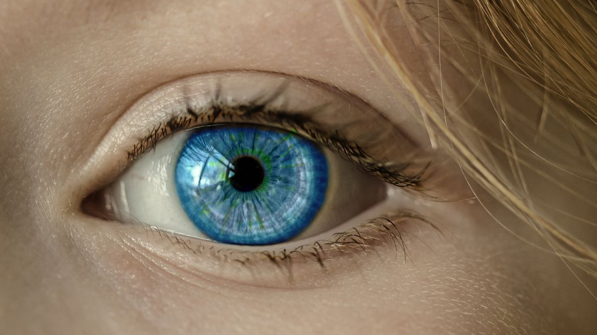 PimEyes zaindeksował prawie miliard zdjęć, fot. Pixabay