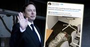 Spała na podłodze w biurze. Elon Musk i tak ją zwolnił