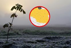 Nocne przymrozki. Ostrzeżenia dla większości województw