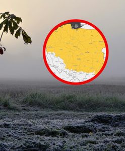 Nocne przymrozki. Ostrzeżenia dla większości województw