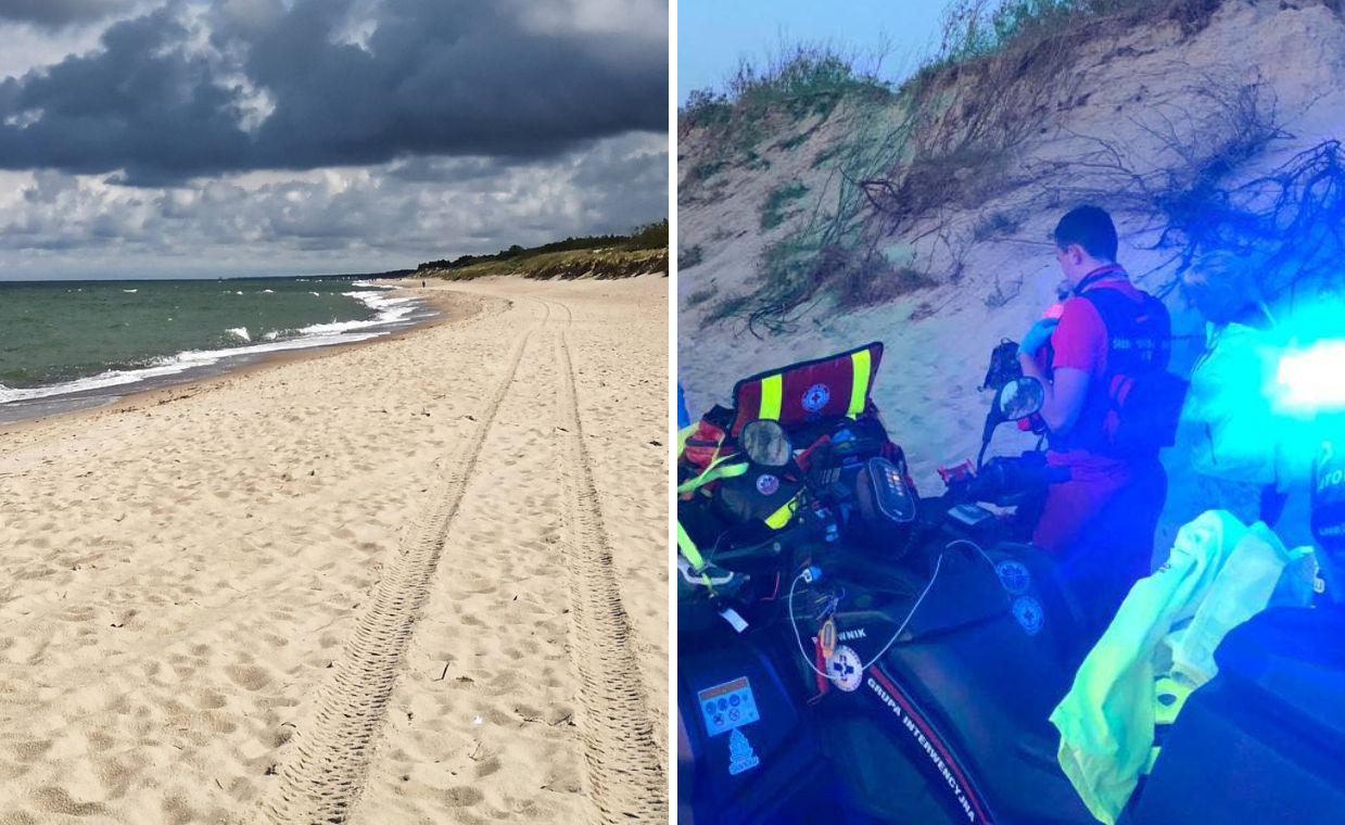 "Atak łosia" na plaży. Ranny turysta nad morzem