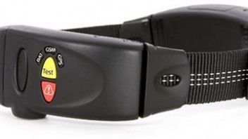 Niesforny pies nie będzie już problemem... przynajmniej w UK 1