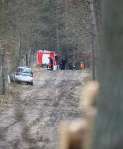 Nietypowe znalezisko w puszczy. Sprawę badają śledczy