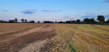 Zagospodarowanie resztek pożniwnych — sposób na oszczędności