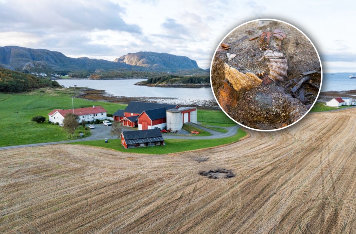 Tajemniczy pochówek Wikingów. Kobieta z muszlami na ustach