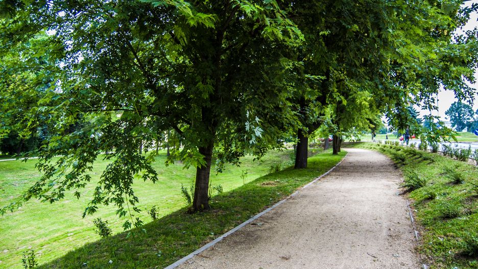 park, miejski, miasto, polska, polski, polskie, alejka, trawa, drzewa, droga