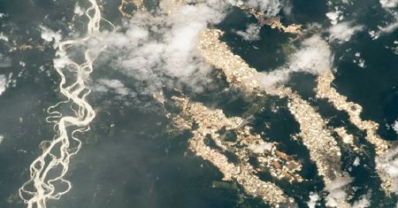 Astronauta NASA pokazał zdjęcie. "Rzeki złota" w peruwiańskiej Amazonii