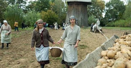 Lubelski skansen zaprasza na wykopki. Przyjdź i zobacz, jak dawniej zbierało się ziemniaki