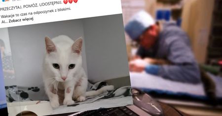 "Chcę ją uśpić". Kobieta chciała wyjechać na wakacje