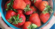 Jesz truskawki codziennie? Oto jak faktycznie wpływają na twój organizm