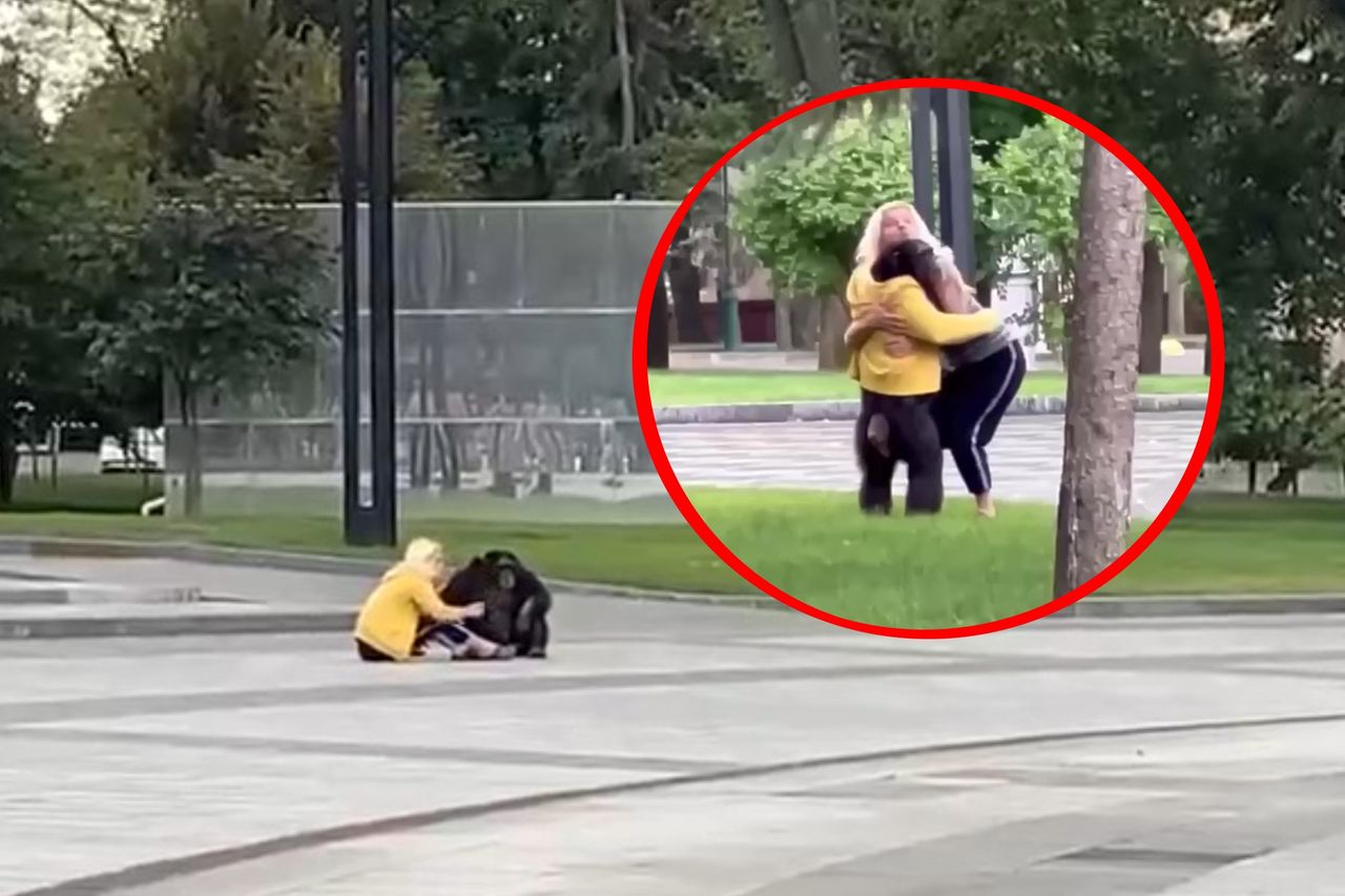 Uciekła z charkowskiego zoo. Nagranie wzrusza do łez