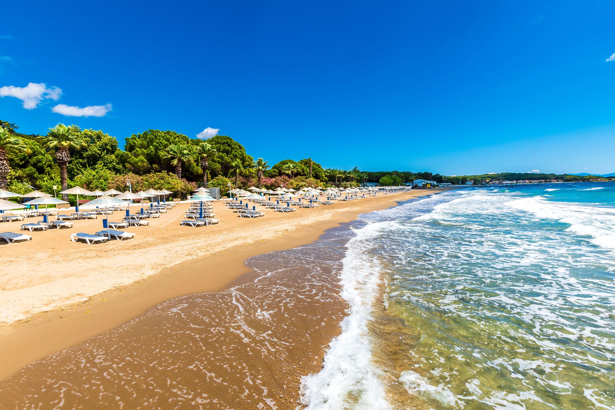 Wakacje plaża 