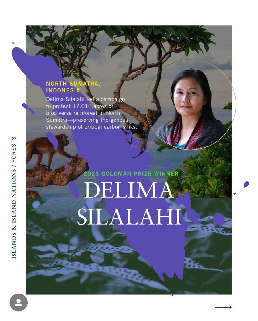 Delima Silalahi, zwyciężczyni "Zielonego Nobla"