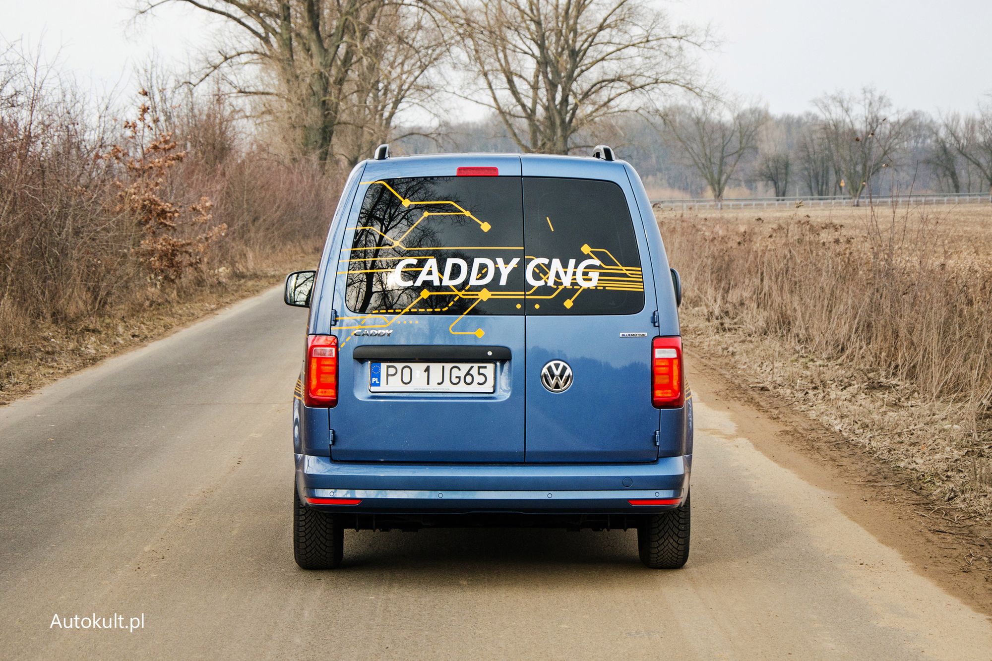 Zdjęcie ilustracyjne do artykułu