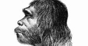 Neandertalczycy odziedziczyli geny od nieznanej populacji przodków współczesnego człowieka