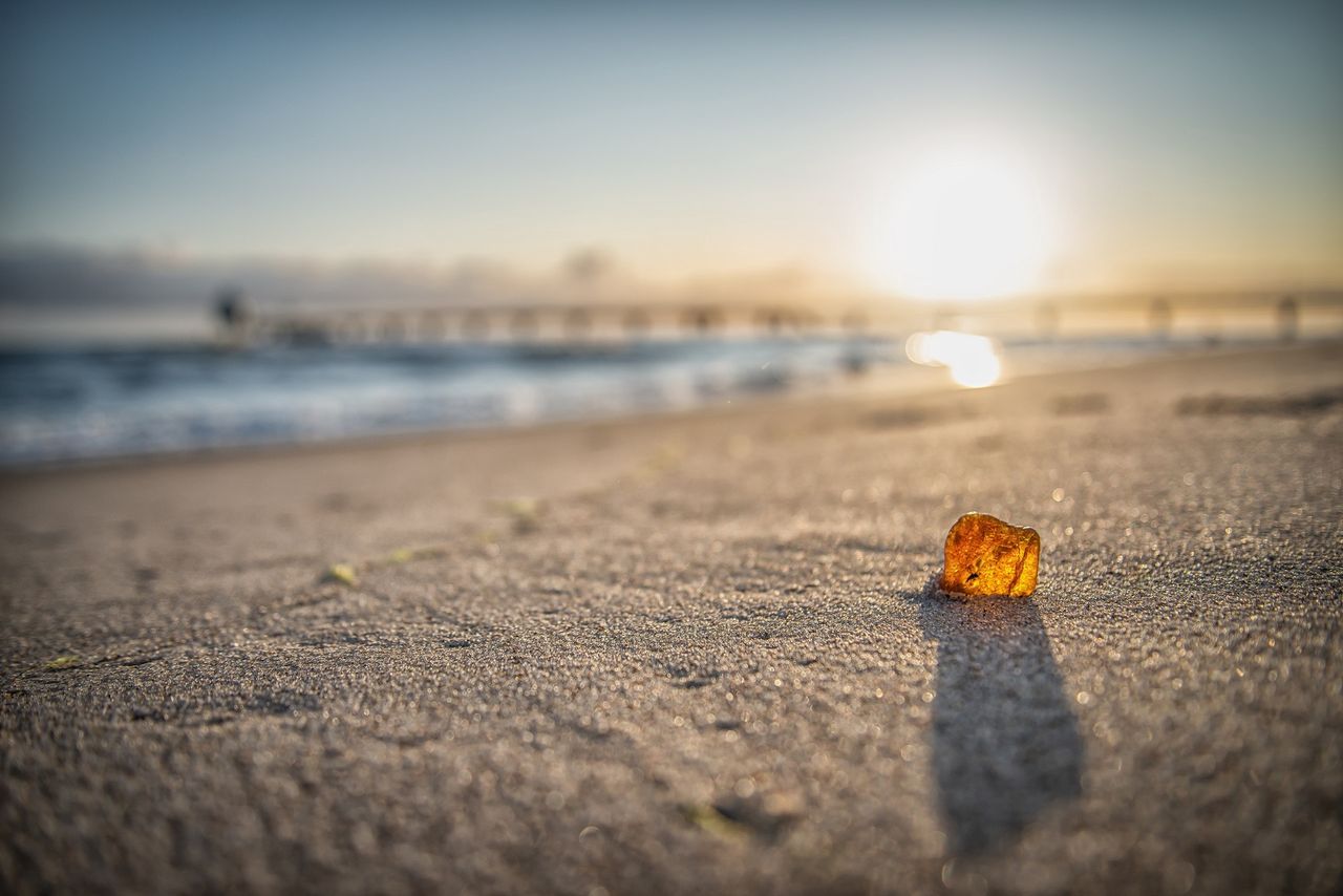 Drogocenne złoto gdańskich plaż. Wyprawa śladami polskiego bursztynu