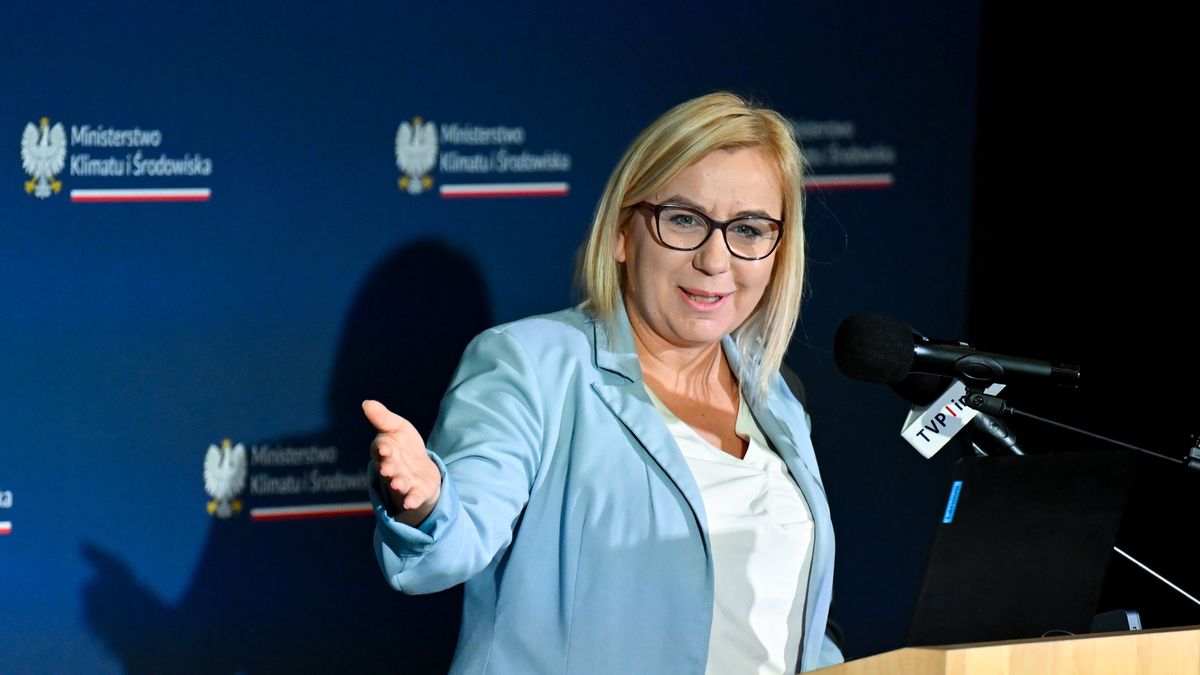 Sejm zdecydował ws. cen prądu w 2025 roku