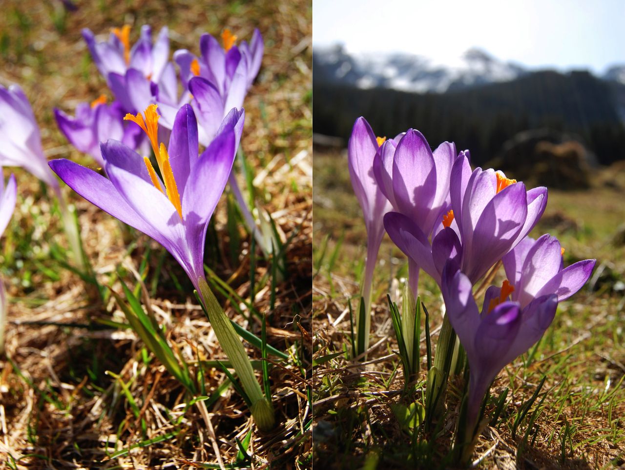 Bierzcie przykład z Kasi i inspirujcie się, róbcie zdjęcia i pokazujcie je w sieci. Być może wasze fotografie skłonią kogoś innego do ruszenia się z kanapy. Pamiętajcie, że inspiracja jest bardzo ważnym elementem procesu twórczego.