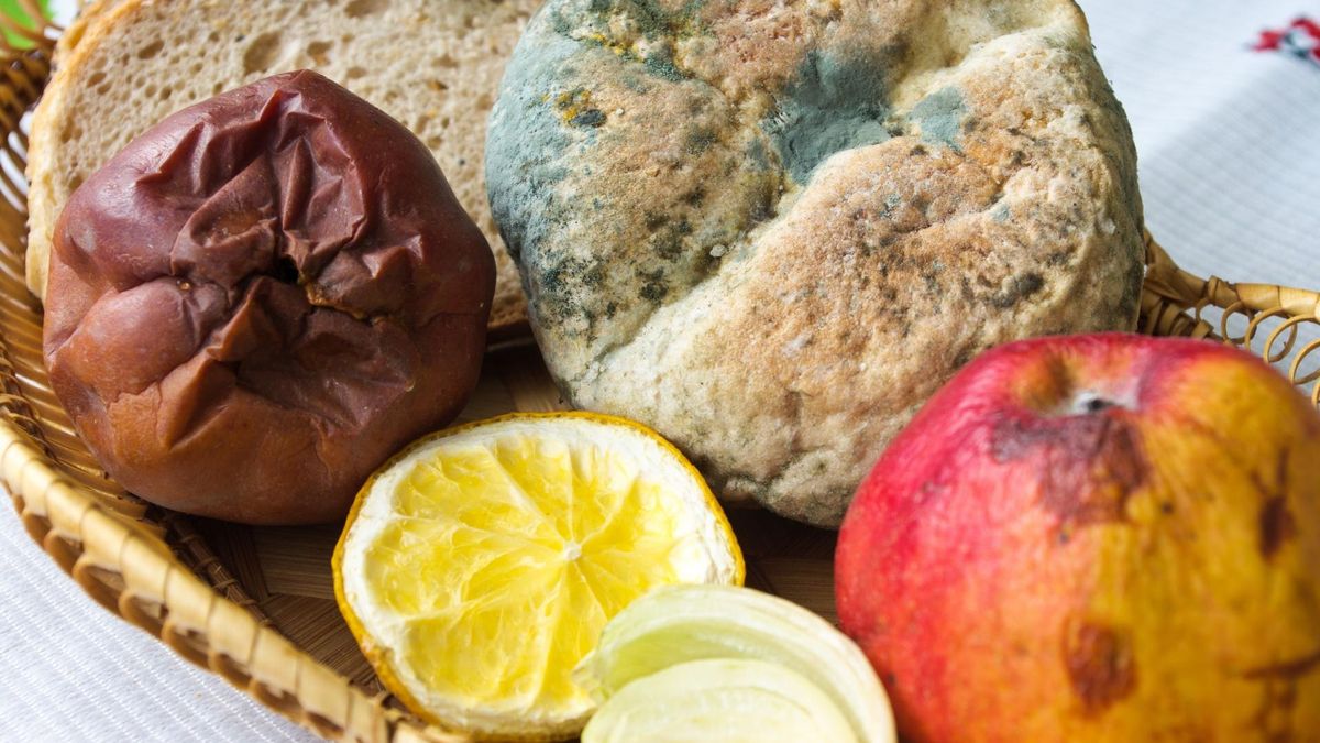 Szkodliwość pleśni. Jak wpływają na zdrowie?