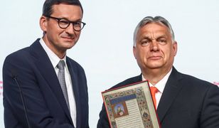 "Hańba!". Pomysł polskiego rządu wywołał oburzenie