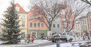 Zielona Góra: Przy Ratuszu stanie choinka. Będą też iluminacje