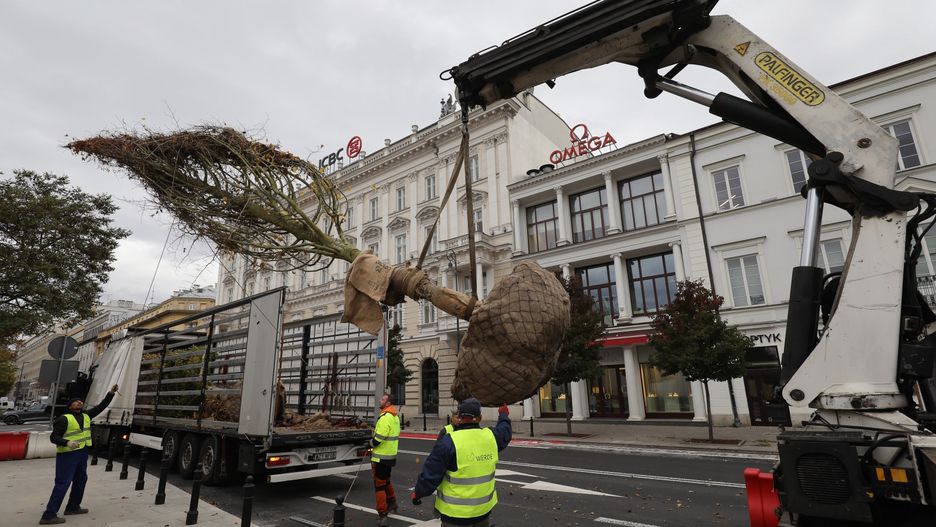 Na Placu Trzech Krzyży wiosną będzie zielono, jak dawno nie było