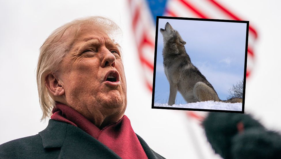 "W sprzeczności z nauką". Kontrowersyjna decyzja administracji Trumpa