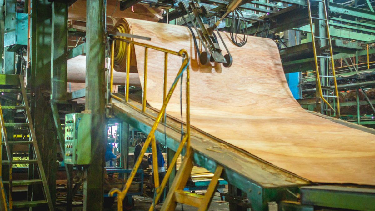 Firma od sklejek wpisana na listę sankcyjną. Oto co ją czeka