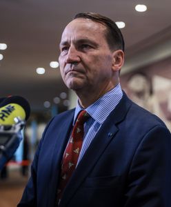 Sikorski: Polska może najwięcej zyskać na odbudowie Ukrainy