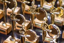 Fot. Shutterstock.com