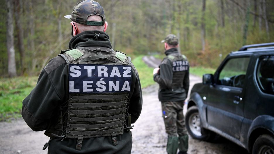 Straż Leśna 