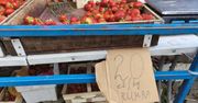 Ceny pierwszych czereśni. Tyle kosztują na targach w Krakowie