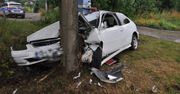 Tarnowskie Góry. Tragedia o krok, pijany wjechał w drzewo