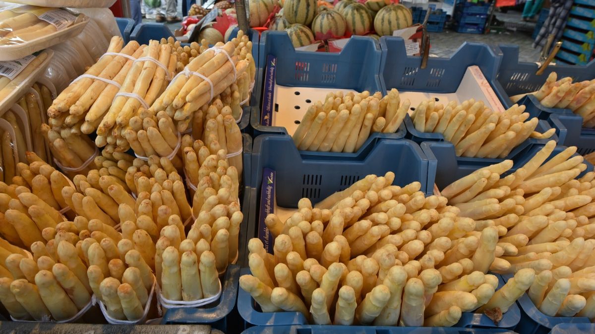 Reporter baza 2020-06-a
Oostende, Belgium, June 16, 2016. Market place in Ostend. Selling of vegetables, fruits and clothing.      REPORTERS/Edwin Fontaine  Reporters / MAENHOUD
Edwin Fontaine