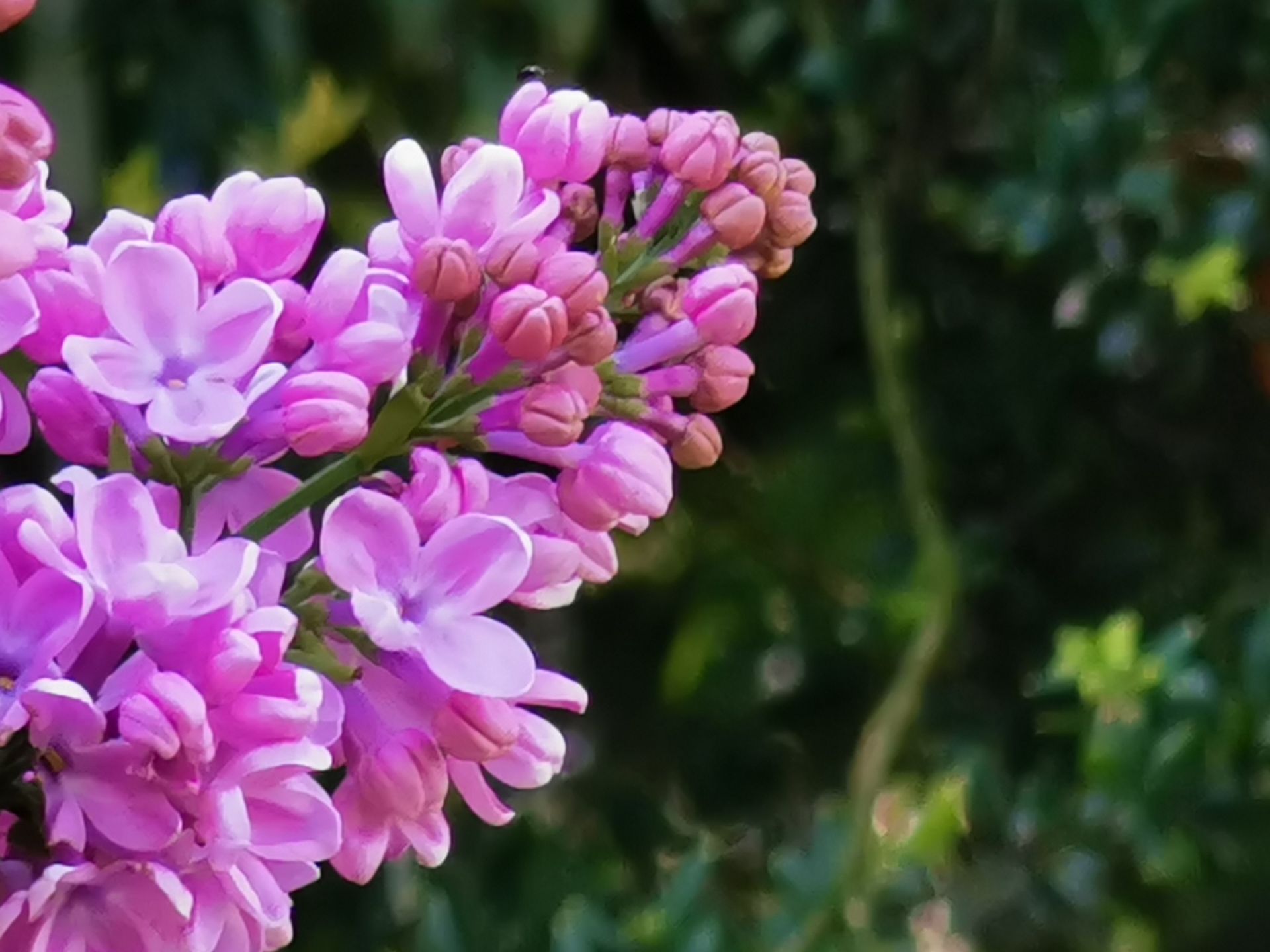 Huawei P30 Pro: zobacz przykładowe zdjęcia z poczwórnego aparatu 25