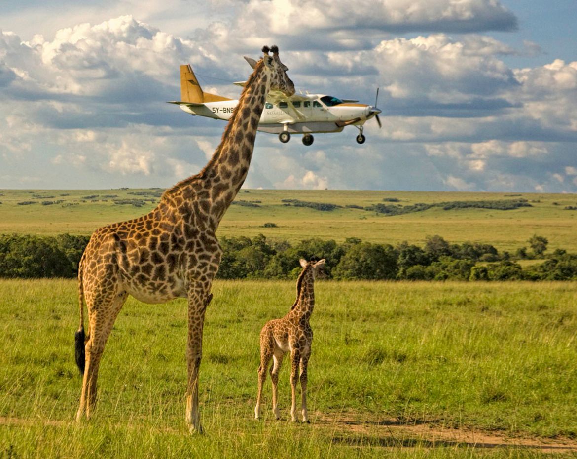 Dzikie zwierzęta wcale nie są takie straszne. Oto najzabawniejsze zdjęcia z konkursu Comedy Wildlife Photography Award 6