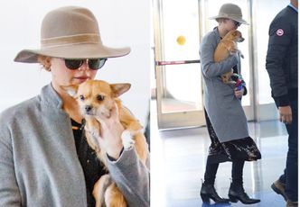 Jennifer Lawrence ukrywa się z psem na lotnisku