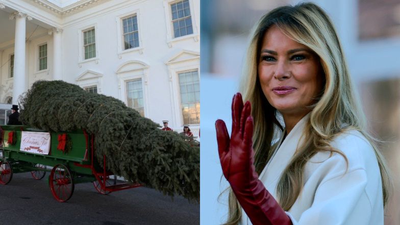 Melania Trump odebrała choinkę