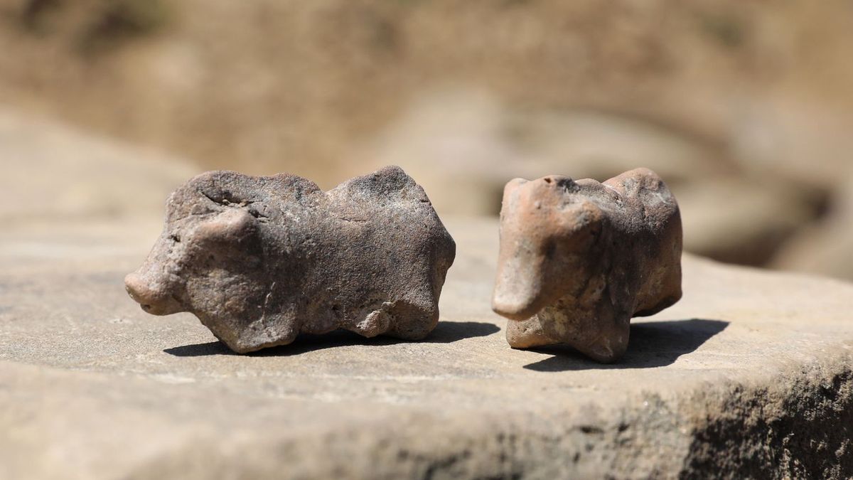 Niecodzienne odkrycie w Małopolsce