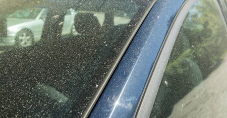 Pył znad Sahary dotarł do Polski. Bez wiedzy możesz zniszczyć auto