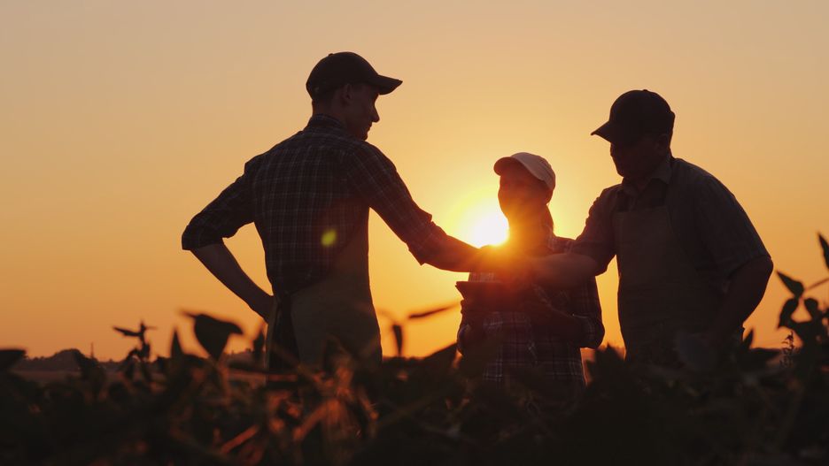 A group of farmers in the field, shaking hands. Family Agribusiness
A group of farmers in the field, shaking hands. Family Agribusiness. Team work in agribusiness.
deal, handshake, agreement, three, group, family, team, farmer, agricultural, tablet, farm, agriculture, business, handgrip, field, handshaking, food, man, nature, person, handclasp, woman, country, crop, occupation, young, cultivated, discussion, dusk, leaf, people, rural, spring, summer, worker, education, men, outdoor, organic, sunset, agribusiness, farming, outdoors, work, shake, deal, handshake, agreement, three, group, family, team, farmer, agricultural, tablet, farm, agriculture, business, handgrip, field, handshaking, food, man, nature, person, handclasp, woman, country, crop, occupation, young, cultivated, discussion, dusk, leaf, people, rural, spring, summer, worker, education, men, outdoor, organic, sunset, agribusiness, farming, outdoors, work, shake