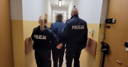 Brutalnie zabił koty. Teraz stanie przed Sądem