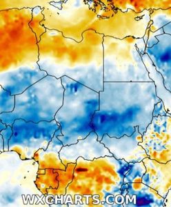 Zdumienie w Egipcie. Takiej pogody się nie spodziewali