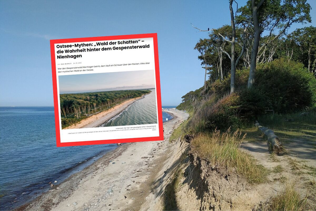 "Las Duchów" nad Bałtykiem. Niemcy jednogłośnie: upiorne miejsce