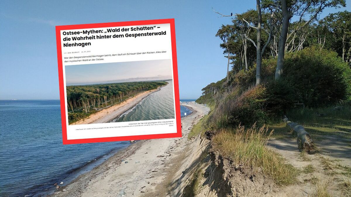 Tajemniczy "Las Duchów" nad Bałtykiem