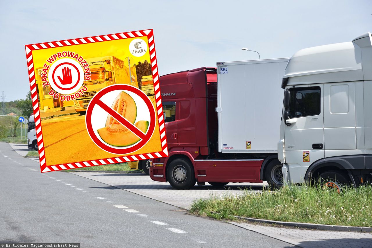 Te melony miały trafić do sprzedaży w Polsce. Odrażające odkrycie