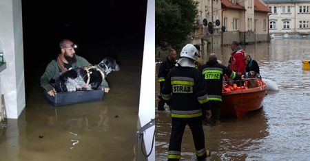 Wiadomo, co z porzuconym w czasie powodzi Oreo. "Właściciel zostawił go na pewną śmierć"