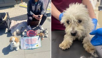 "Nie jestem żebrakiem". Obok był pies. Wstrząsające odkrycie