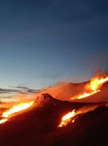 Wildfire threatens rare plants in Połonina Caryńska